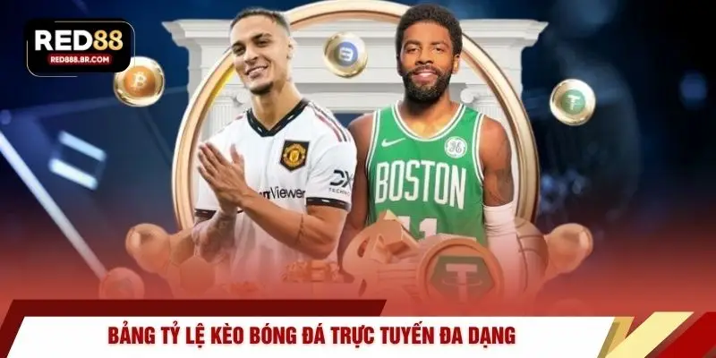 Bảng tỷ lệ kèo bóng đá trực tuyến đa dạng 