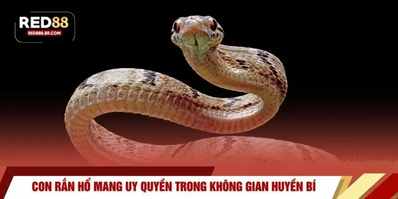 Con rắn hổ mang uy quyền trong không gian huyền bí
