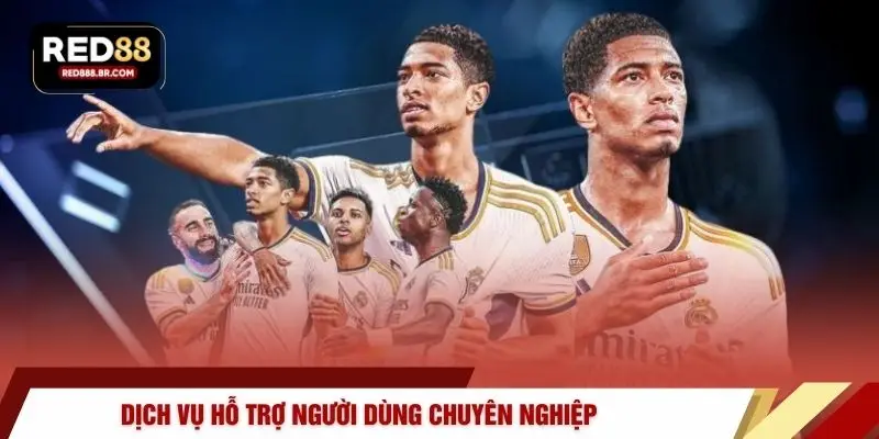 Dịch vụ hỗ trợ người dùng chuyên nghiệp 