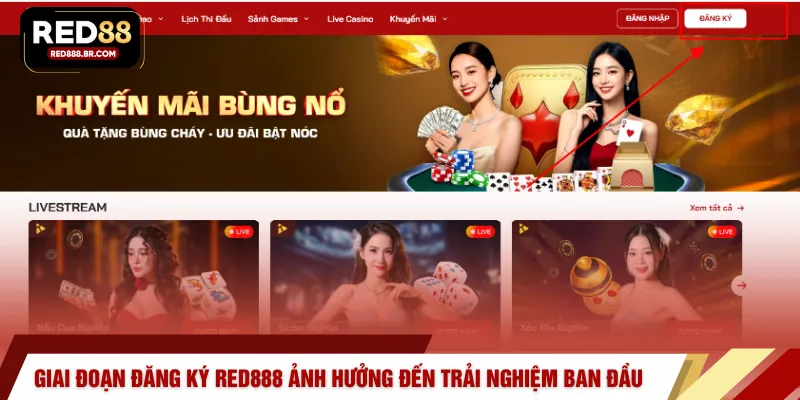 Giai đoạn đăng ký RED888 ảnh hưởng đến trải nghiệm ban đầu