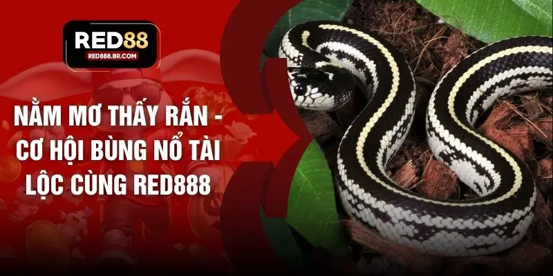 Nằm Mơ Thấy Rắn - Cơ Hội Bùng Nổ Tài Lộc Cùng RED888