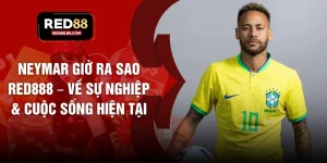 Neymar Giờ Ra Sao RED888 – Về Sự Nghiệp & Cuộc Sống Hiện Tại