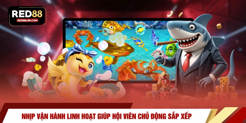 Nhịp vận hành linh hoạt giúp hội viên chủ động sắp xếp