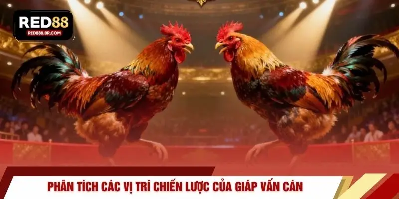 Phân tích các vị trí chiến lược của giáp vấn cán